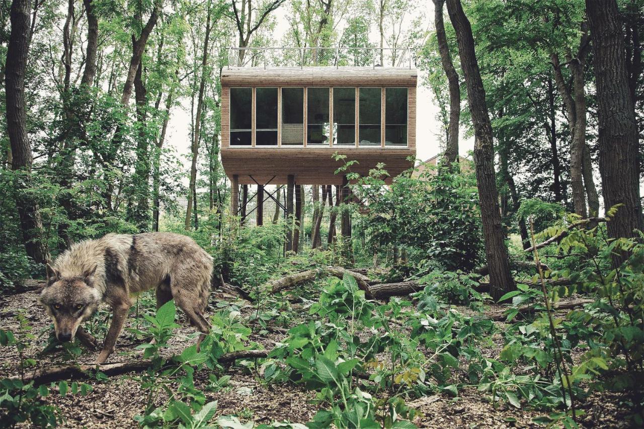Tree Inn - Das Baumhaushotel Dörverden Extérieur photo