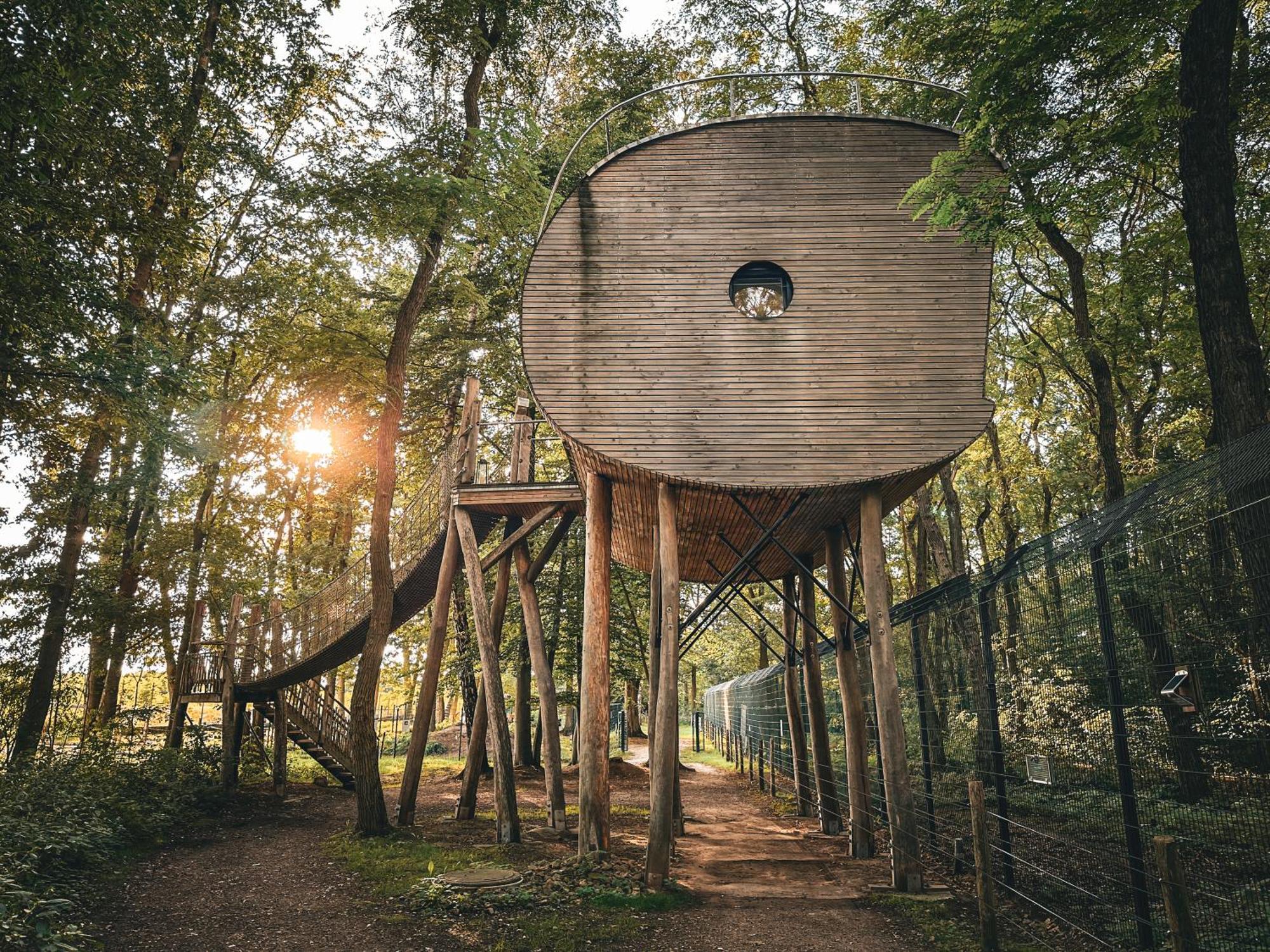 Tree Inn - Das Baumhaushotel Dörverden Extérieur photo